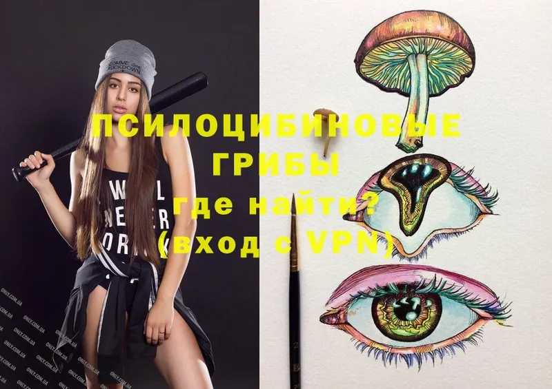 купить наркотик  mega   Галлюциногенные грибы Psilocybe  Кизляр 